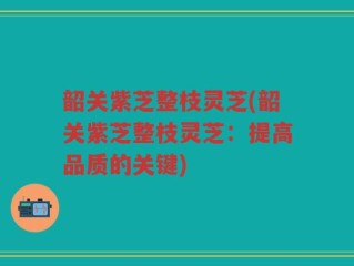 韶关紫芝整枝灵芝(韶关紫芝整枝灵芝：提高品质的关键)