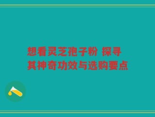 想看灵芝孢子粉 探寻其神奇功效与选购要点