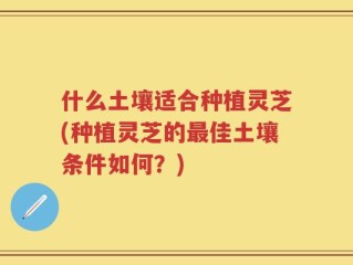 什么土壤适合种植灵芝(种植灵芝的最佳土壤条件如何？)
