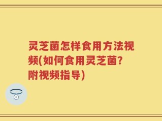 灵芝菌怎样食用方法视频(如何食用灵芝菌？附视频指导)