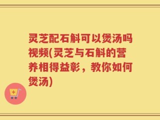灵芝配石斛可以煲汤吗视频(灵芝与石斛的营养相得益彰，教你如何煲汤)