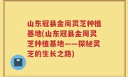 山东冠县金周灵芝种植基地(山东冠县金周灵芝种植基地——探秘灵芝的生长之路)