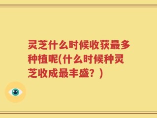 灵芝什么时候收获最多种植呢(什么时候种灵芝收成最丰盛？)