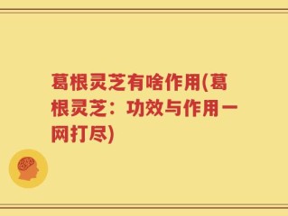 葛根灵芝有啥作用(葛根灵芝：功效与作用一网打尽)