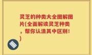灵芝的种类大全图解图片(全面解读灵芝种类，帮你认清其中区别！)
