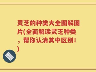 灵芝的种类大全图解图片(全面解读灵芝种类，帮你认清其中区别！)