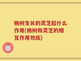 杨树生长的灵芝起什么作用(杨树和灵芝的相互作用效应)