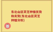 东北山区灵芝种植优势和劣势(东北山区灵芝种植分析)