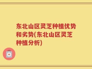 东北山区灵芝种植优势和劣势(东北山区灵芝种植分析)
