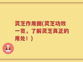 灵芝作用图(灵芝功效一览，了解灵芝真正的用处！)