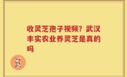 收灵芝孢子视频？武汉丰实农业养灵芝是真的吗