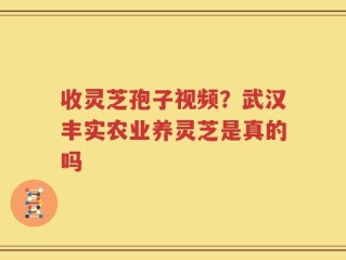 收灵芝孢子视频？武汉丰实农业养灵芝是真的吗