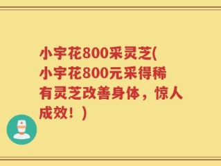小宇花800采灵芝(小宇花800元采得稀有灵芝改善身体，惊人成效！)