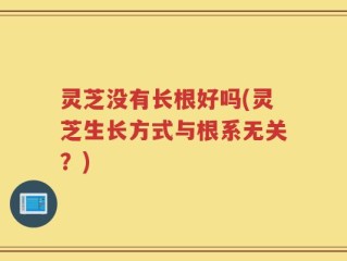 灵芝没有长根好吗(灵芝生长方式与根系无关？)