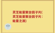 灵芝能量聚合因子片(灵芝能量聚合因子片：能量之源)