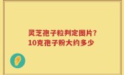 灵芝孢子粒判定图片？10克孢子粉大约多少