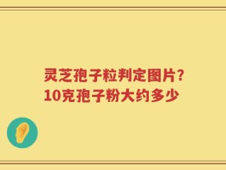 灵芝孢子粒判定图片？10克孢子粉大约多少