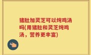 猪肚加灵芝可以炖鸡汤吗(用猪肚和灵芝炖鸡汤，营养更丰富)