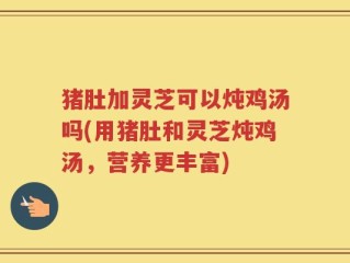 猪肚加灵芝可以炖鸡汤吗(用猪肚和灵芝炖鸡汤，营养更丰富)