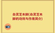 白灵芝木脚(白灵芝木脚的功效与作用简介)