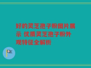 好的灵芝孢子粉图片展示 优质灵芝孢子粉外观特征全解析