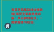 海灵芝采集路线详细教程(海灵芝采集路线详解：从山脚到山顶，一路的探索与收获)