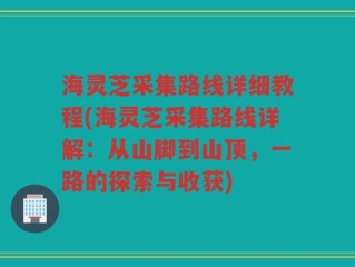 海灵芝采集路线详细教程(海灵芝采集路线详解：从山脚到山顶，一路的探索与收获)