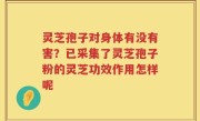 灵芝孢子对身体有没有害？已采集了灵芝孢子粉的灵芝功效作用怎样呢