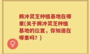 腾冲灵芝种植基地在哪里(关于腾冲灵芝种植基地的位置，你知道在哪里吗？)