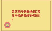 灵芝孢子粉是啥菌(灵芝子孢粉是哪种蘑菇？)