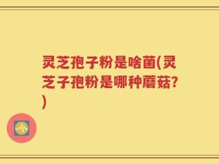 灵芝孢子粉是啥菌(灵芝子孢粉是哪种蘑菇？)