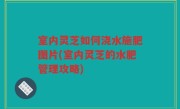 室内灵芝如何浇水施肥图片(室内灵芝的水肥管理攻略)