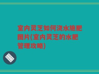 室内灵芝如何浇水施肥图片(室内灵芝的水肥管理攻略)