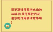 灵芝草牡丹花泡水功效与禁忌(灵芝草牡丹花泡水的作用和注意事项)