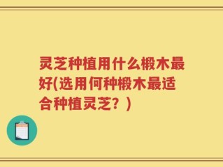 灵芝种植用什么椴木最好(选用何种椴木最适合种植灵芝？)