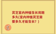灵芝室内种植生长周期多久(室内种植灵芝需要多久才能生长？)