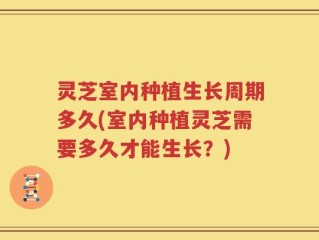 灵芝室内种植生长周期多久(室内种植灵芝需要多久才能生长？)