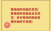 黄海城市花园王灵芝(黄海城市花园业主王灵芝：多年等待的物业管理升级终于实现)