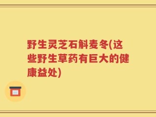 野生灵芝石斛麦冬(这些野生草药有巨大的健康益处)