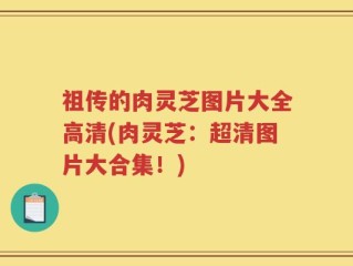 祖传的肉灵芝图片大全高清(肉灵芝：超清图片大合集！)