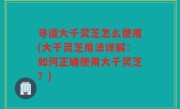 寻道大千灵芝怎么使用(大千灵芝用法详解：如何正确使用大千灵芝？)