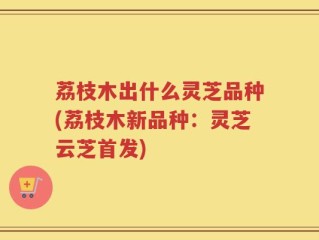 荔枝木出什么灵芝品种(荔枝木新品种：灵芝云芝首发)