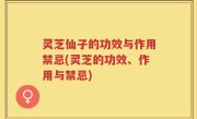 灵芝仙子的功效与作用禁忌(灵芝的功效、作用与禁忌)