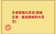 王者荣耀大灵芝(荣耀王者：重返巅峰的大灵芝)