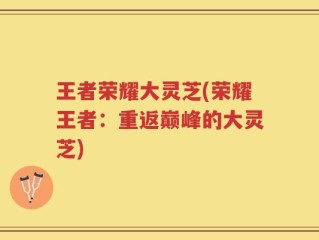 王者荣耀大灵芝(荣耀王者：重返巅峰的大灵芝)