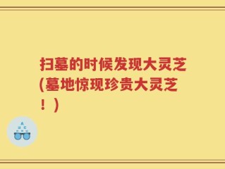 扫墓的时候发现大灵芝(墓地惊现珍贵大灵芝！)