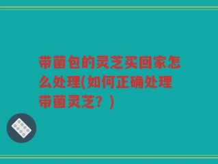 带菌包的灵芝买回家怎么处理(如何正确处理带菌灵芝？)