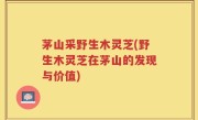 茅山采野生木灵芝(野生木灵芝在茅山的发现与价值)