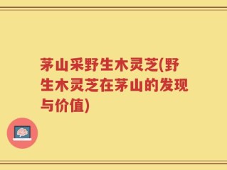 茅山采野生木灵芝(野生木灵芝在茅山的发现与价值)