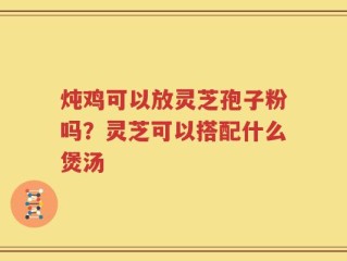 炖鸡可以放灵芝孢子粉吗？灵芝可以搭配什么煲汤